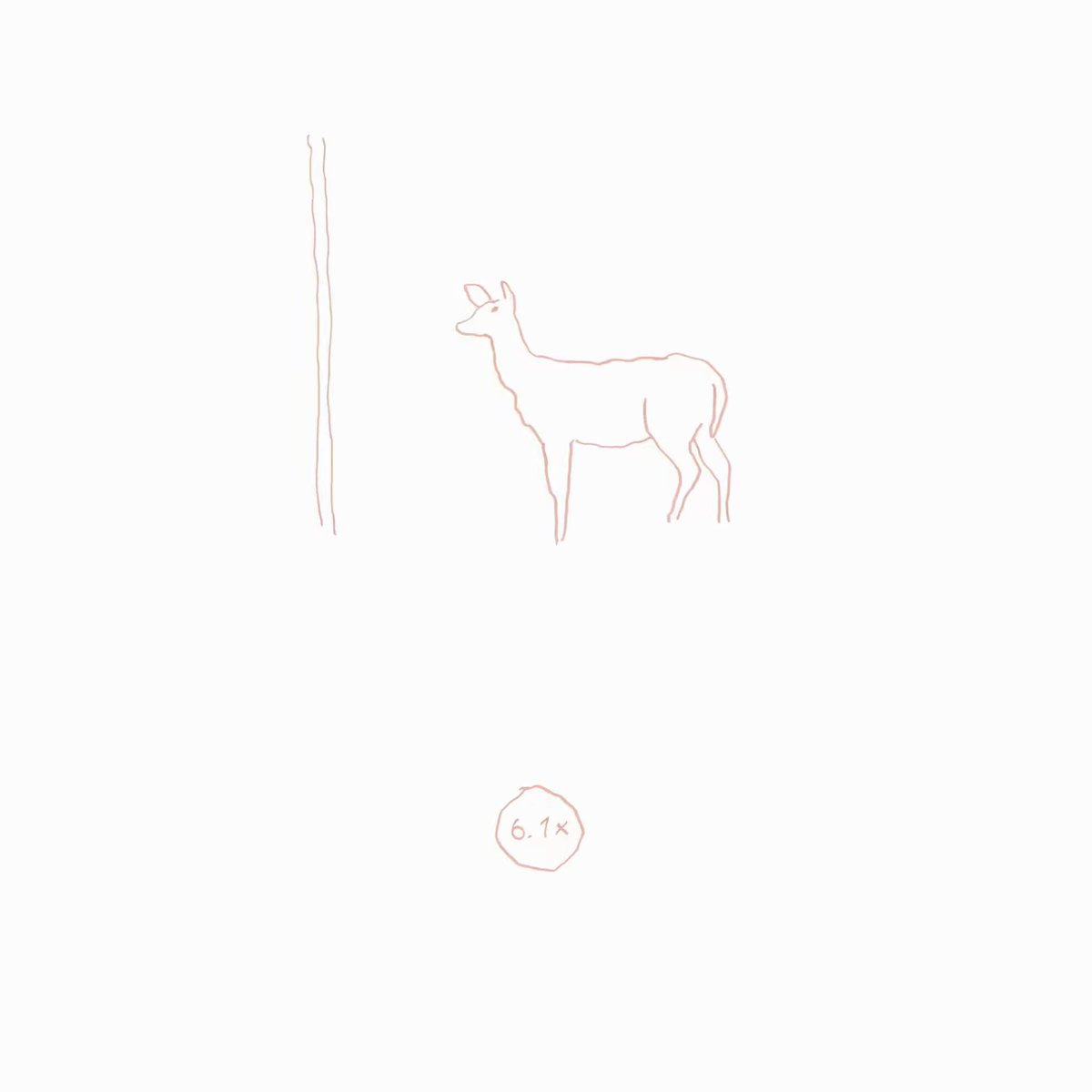 documentary animation
